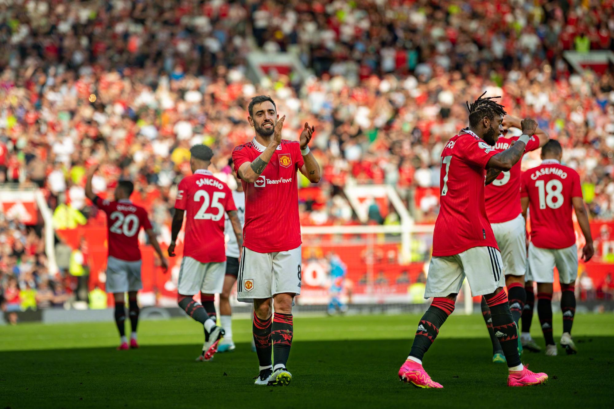 究和分析 究和分析